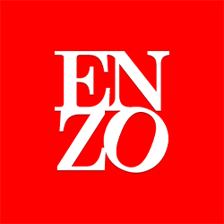 enzo-ide_logo
